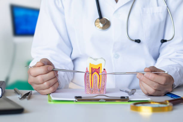 Best Emergency Dentist for Knocked-Out Tooth in Orange, TX